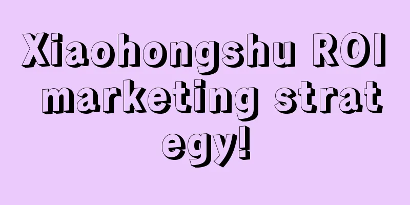 Xiaohongshu ROI marketing strategy!