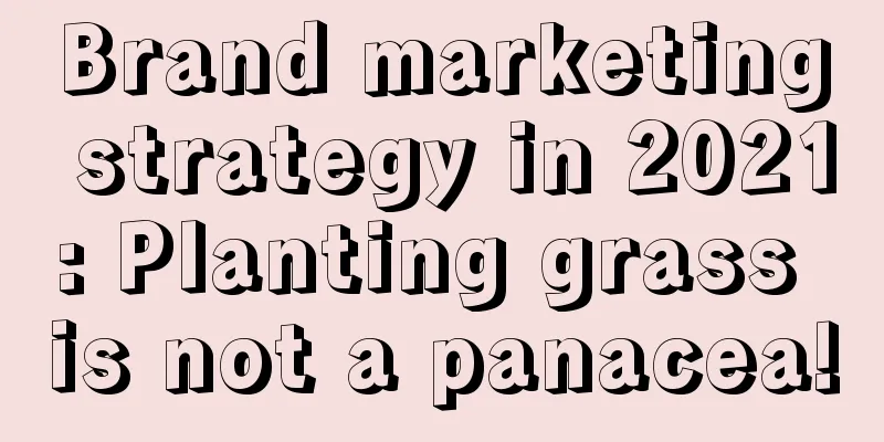 Brand marketing strategy in 2021: Planting grass is not a panacea!