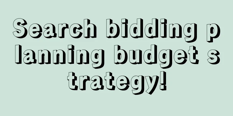 Search bidding planning budget strategy!