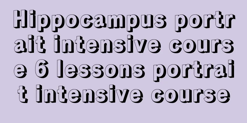 Hippocampus portrait intensive course 6 lessons portrait intensive course