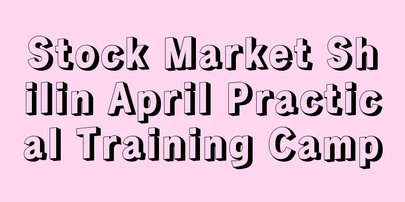 Stock Market Shilin April Practical Training Camp