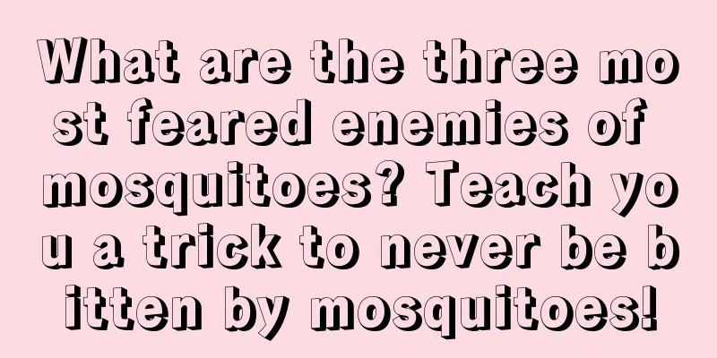 What are the three most feared enemies of mosquitoes? Teach you a trick to never be bitten by mosquitoes!