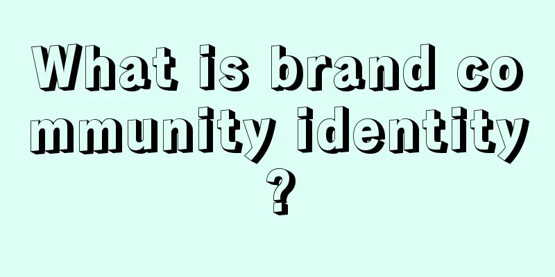 What is brand community identity?