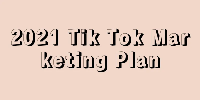 2021 Tik Tok Marketing Plan