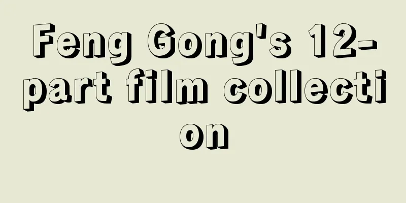 Feng Gong's 12-part film collection