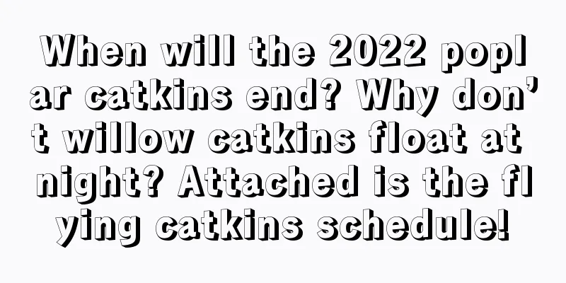 When will the 2022 poplar catkins end? Why don’t willow catkins float at night? Attached is the flying catkins schedule!