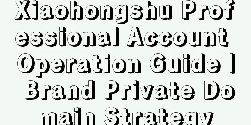 Xiaohongshu Professional Account Operation Guide | Brand Private Domain Strategy