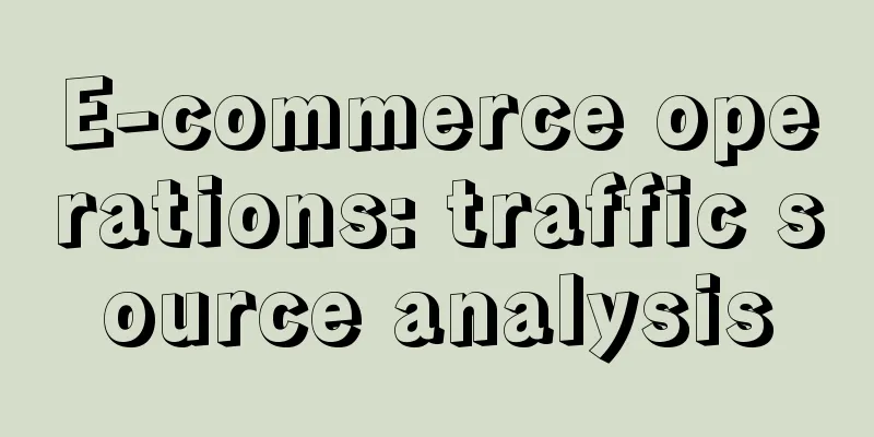 E-commerce operations: traffic source analysis