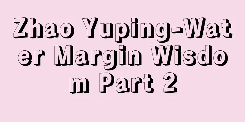 Zhao Yuping-Water Margin Wisdom Part 2