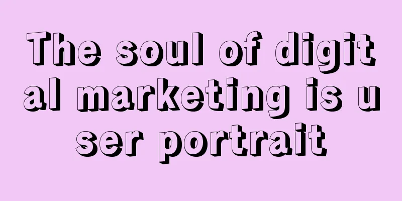 The soul of digital marketing is user portrait