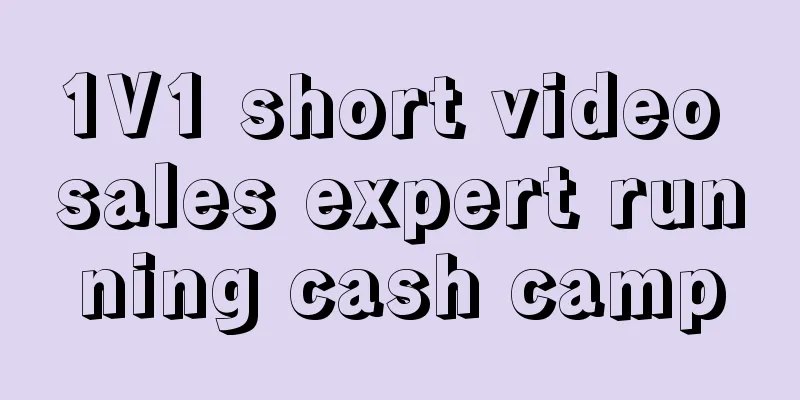 1V1 short video sales expert running cash camp