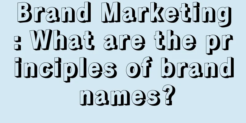 Brand Marketing: What are the principles of brand names?