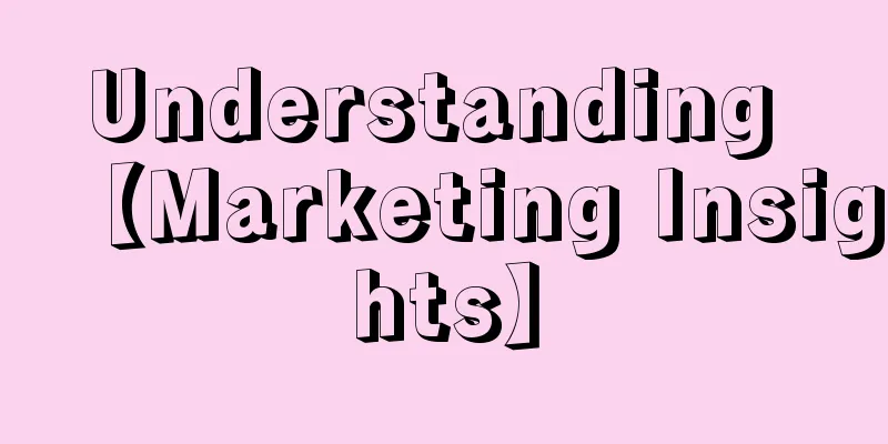 Understanding 【Marketing Insights】