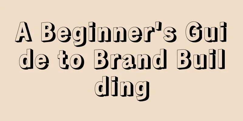 A Beginner's Guide to Brand Building