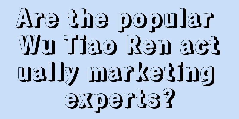 Are the popular Wu Tiao Ren actually marketing experts?