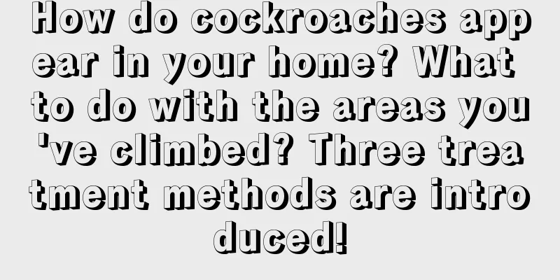 How do cockroaches appear in your home? What to do with the areas you've climbed? Three treatment methods are introduced!