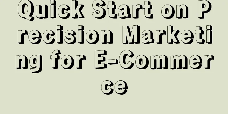 Quick Start on Precision Marketing for E-Commerce