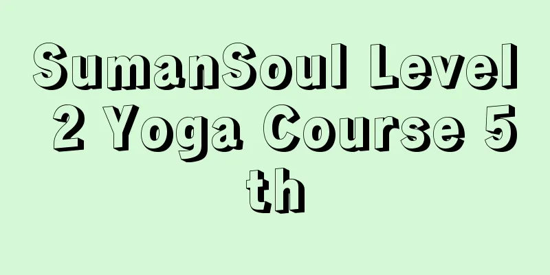 SumanSoul Level 2 Yoga Course 5th