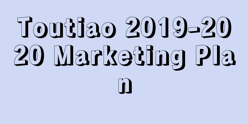 Toutiao 2019-2020 Marketing Plan