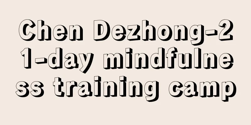 Chen Dezhong-21-day mindfulness training camp