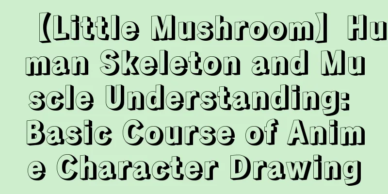 【Little Mushroom】Human Skeleton and Muscle Understanding: Basic Course of Anime Character Drawing