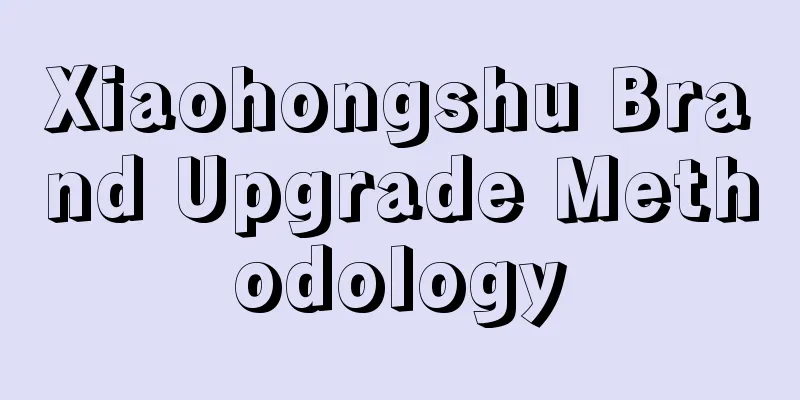 Xiaohongshu Brand Upgrade Methodology