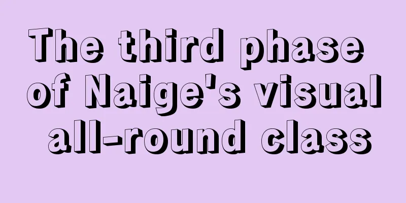 The third phase of Naige's visual all-round class