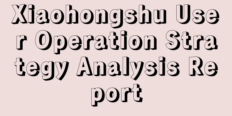 Xiaohongshu User Operation Strategy Analysis Report