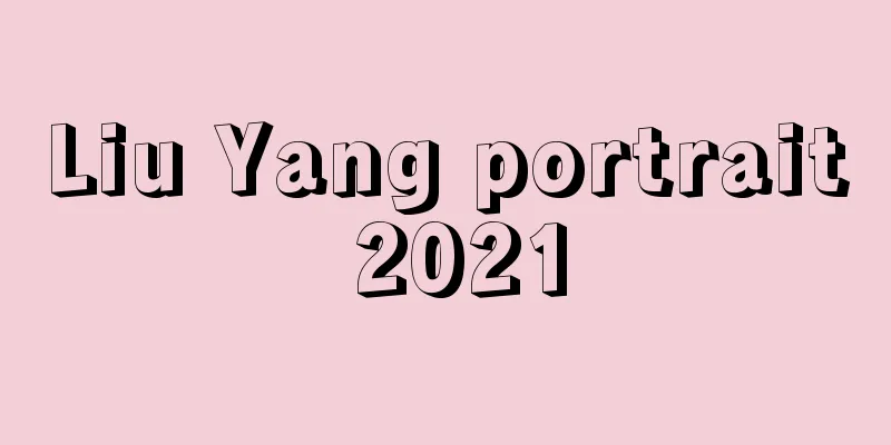 Liu Yang portrait 2021