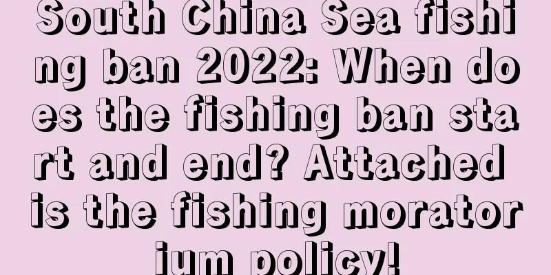 South China Sea fishing ban 2022: When does the fishing ban start and end? Attached is the fishing moratorium policy!