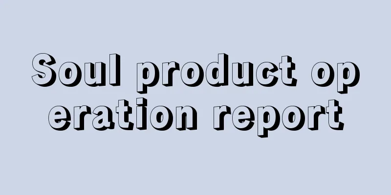 Soul product operation report