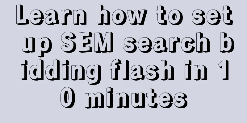 Learn how to set up SEM search bidding flash in 10 minutes