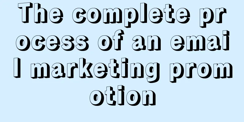 The complete process of an email marketing promotion