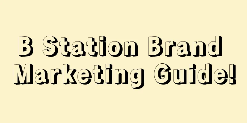 B Station Brand Marketing Guide!