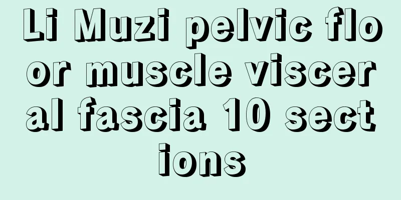 Li Muzi pelvic floor muscle visceral fascia 10 sections