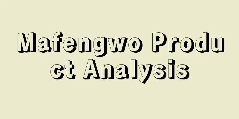 Mafengwo Product Analysis