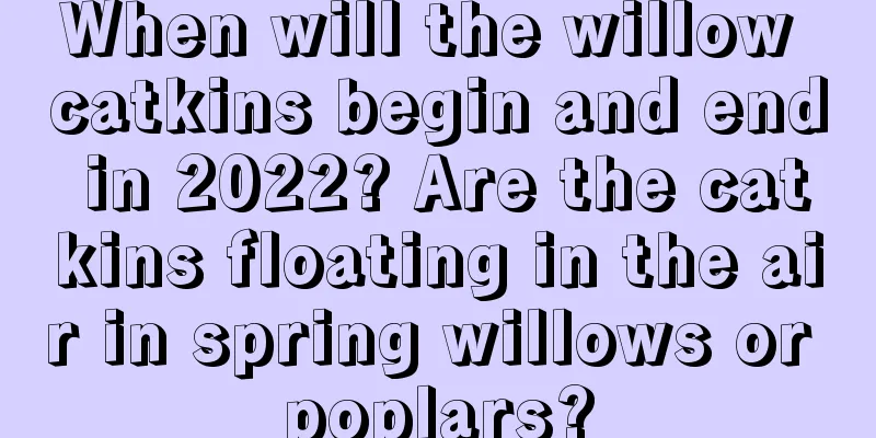 When will the willow catkins begin and end in 2022? Are the catkins floating in the air in spring willows or poplars?