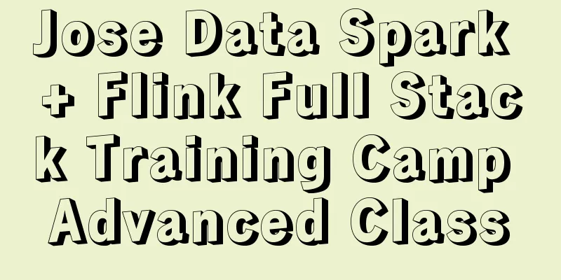 Jose Data Spark + Flink Full Stack Training Camp Advanced Class