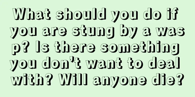 What should you do if you are stung by a wasp? Is there something you don’t want to deal with? Will anyone die?