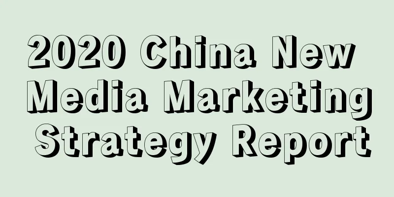 2020 China New Media Marketing Strategy Report