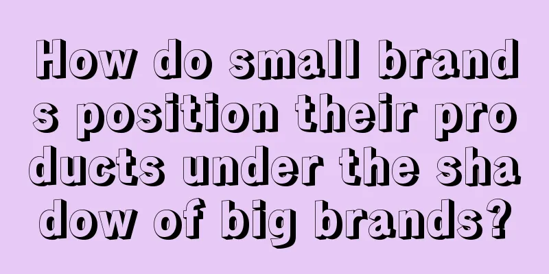 How do small brands position their products under the shadow of big brands?