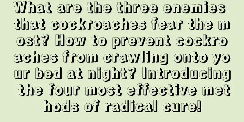 What are the three enemies that cockroaches fear the most? How to prevent cockroaches from crawling onto your bed at night? Introducing the four most effective methods of radical cure!