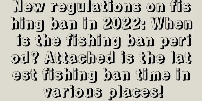 New regulations on fishing ban in 2022: When is the fishing ban period? Attached is the latest fishing ban time in various places!