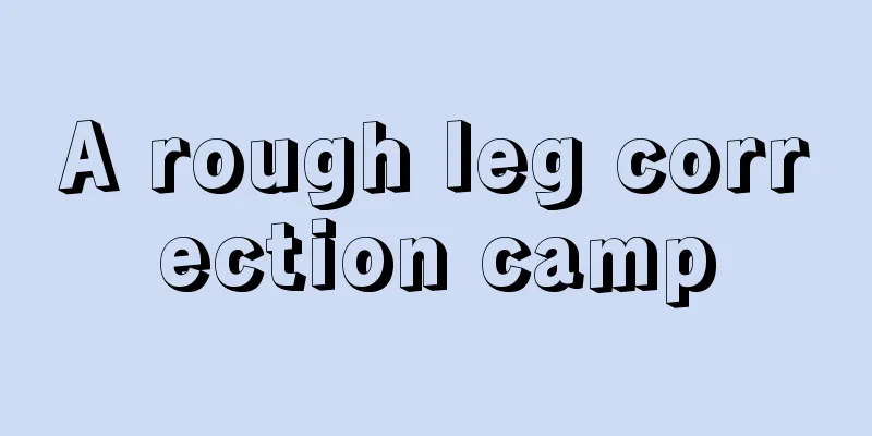 A rough leg correction camp