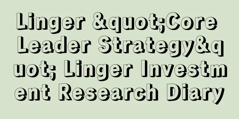 Linger "Core Leader Strategy" Linger Investment Research Diary