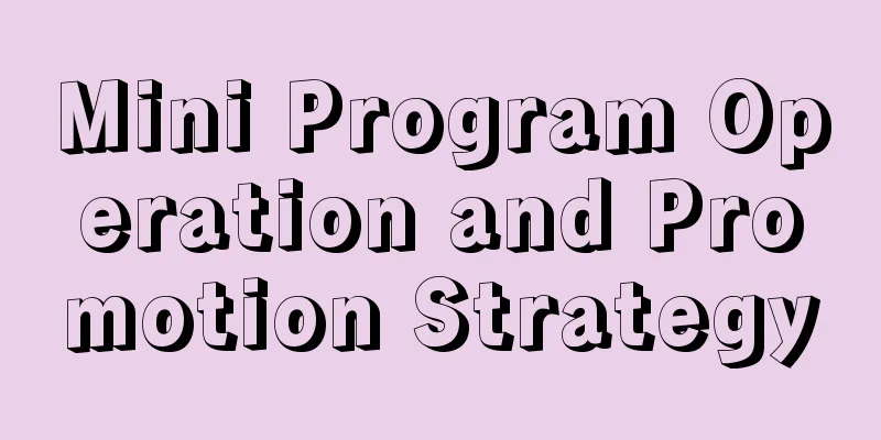 Mini Program Operation and Promotion Strategy