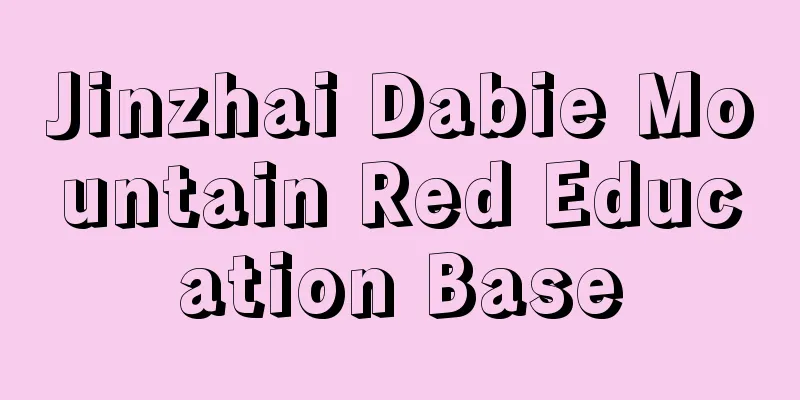 Jinzhai Dabie Mountain Red Education Base