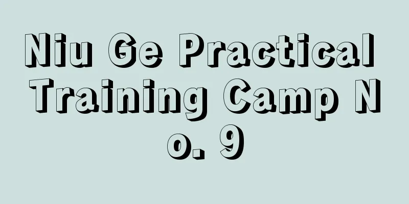 Niu Ge Practical Training Camp No. 9