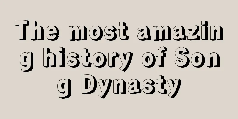 The most amazing history of Song Dynasty