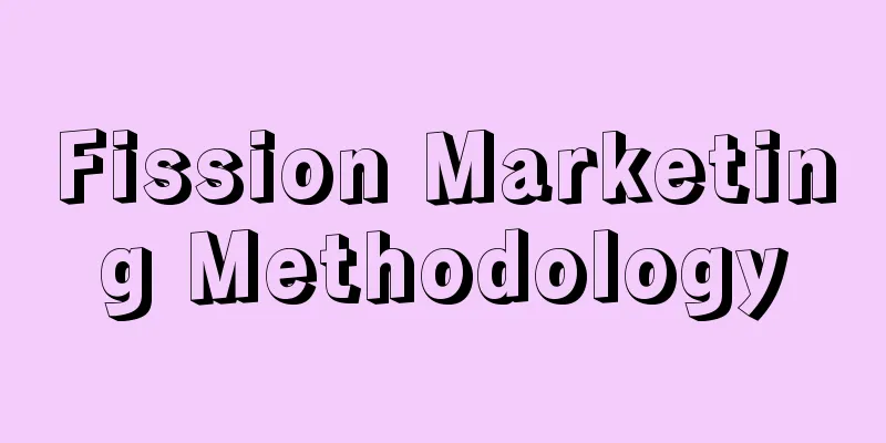 Fission Marketing Methodology